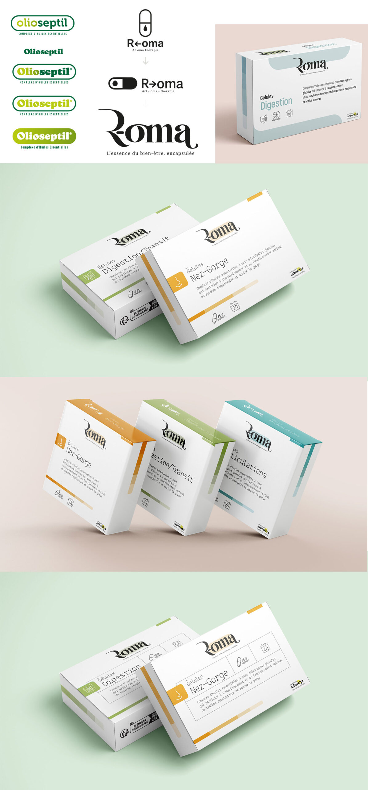 R oma_planche scaled