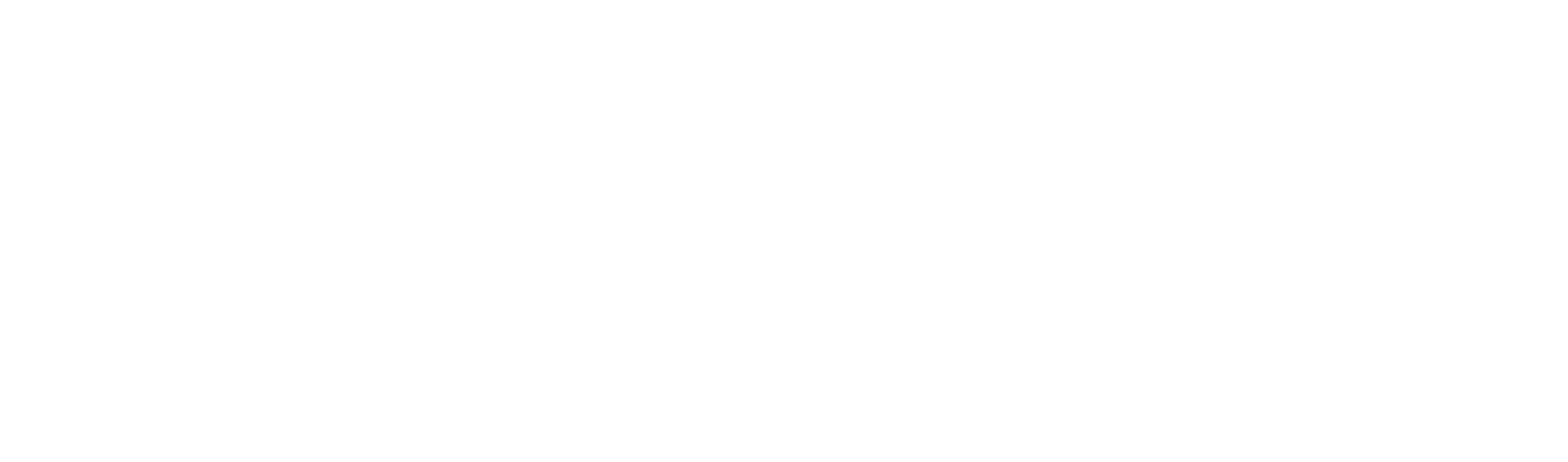 mmv logo blanc 1